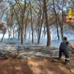 incendio pineta Baia Domizia